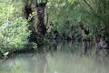 (13) Le Marais Poitevin